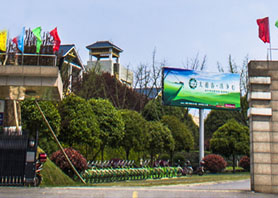 湘豐茶業集團獲評農業產業化國家重點龍頭企業 湘豐茶業集團獲評農業產業化國家重點龍頭企業