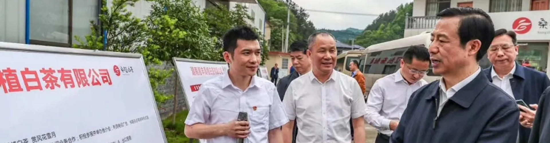 湖南省委副書(shū)記、省長(zhǎng)許達(dá)哲視察湘豐桑植白茶公司 湖南省委副書(shū)記、省長(zhǎng)許達(dá)哲視察湘豐桑植白茶公司