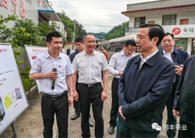 湖南省委副書記、省長許達哲視察湘豐桑植白茶公司 湖南省委副書記、省長許達哲視察湘豐桑植白茶公司
