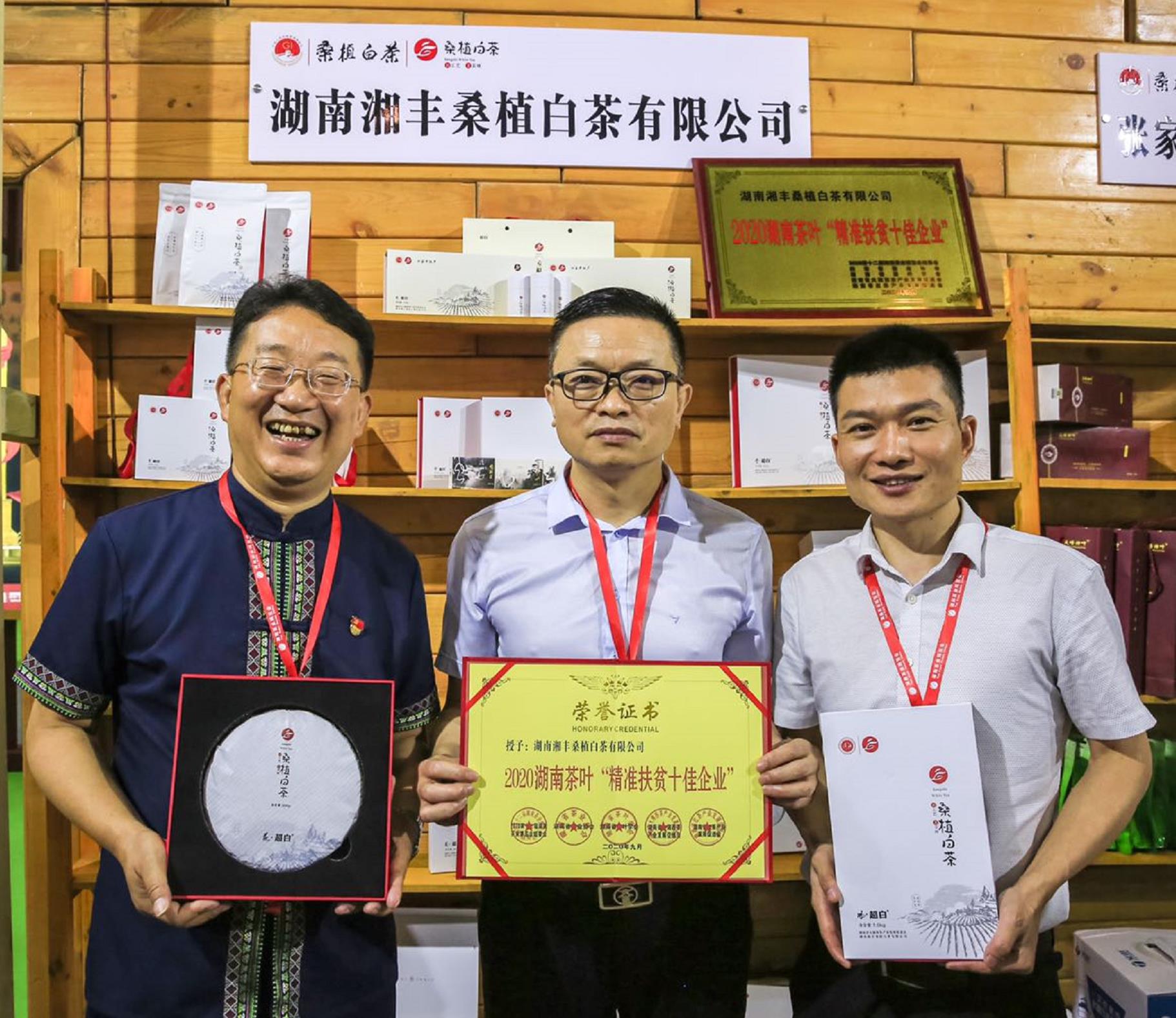 榮耀三連!湘豐桑植白茶再獲金獎 榮耀三連!湘豐桑植白茶再獲金獎