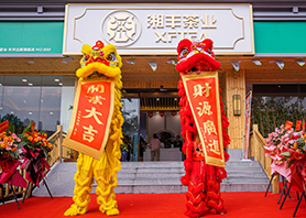 湘豐茶業星沙旗艦店盛大開業！