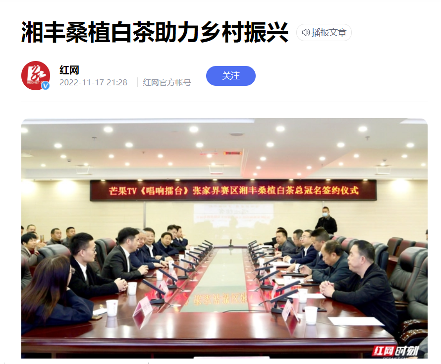 紅網時刻新聞 | 湘豐桑植白茶助力鄉村振興 紅網時刻新聞 | 湘豐桑植白茶助力鄉村振興