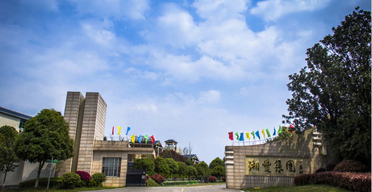 湖南湘豐:做三產融合的“五彩湘茶”產業領跑者 湖南湘豐:做三產融合的“五彩湘茶”產業領跑者
