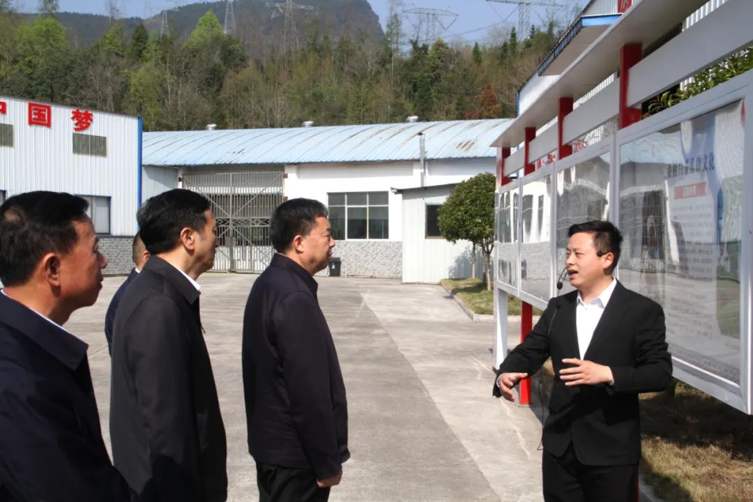 省政協黨組書記、主席毛萬春調研湖南湘豐桑植白茶有限公司