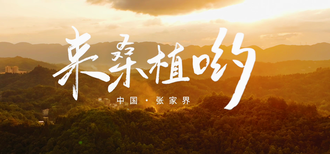 桑植推廣歌曲《來桑植喲》發布！