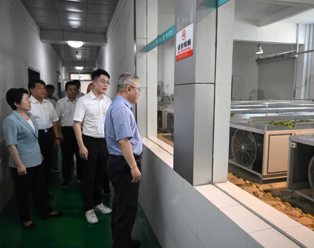 22_proc.jpg 22_proc.jpg