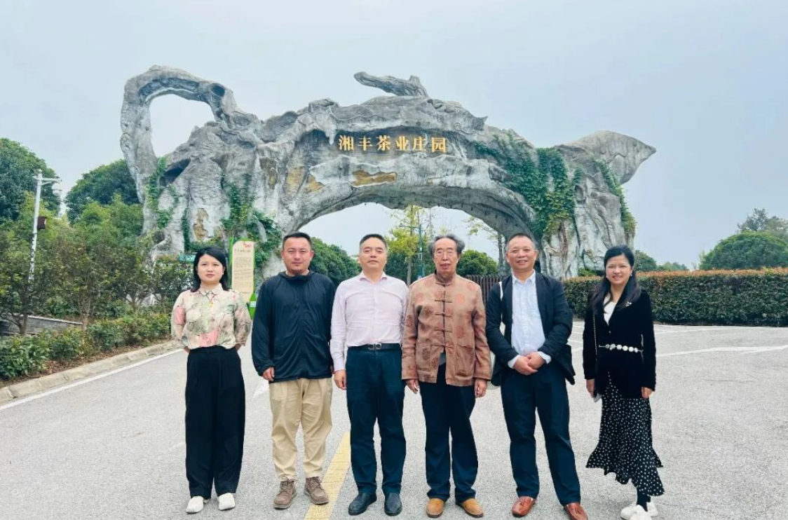 湖南省茶文化研究會會長肖濤一行調研湘豐茶業集團 共促茶文化傳承與產業創新 湖南省茶文化研究會會長肖濤一行調研湘豐茶業集團 共促茶文化傳承與產業創新